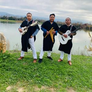 Warmigu (feat. Enry Tupak Edgar)