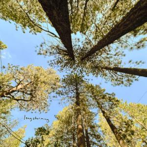 longstorming