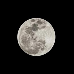 Artemis II (Integrity)