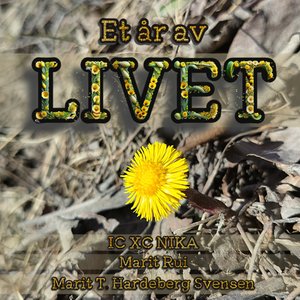 Takk min Gud (Marit Rui)