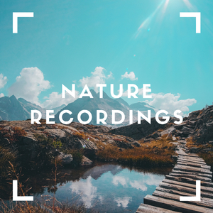 Peace & Speedy Falls