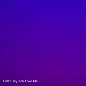Don't Say You Love Me