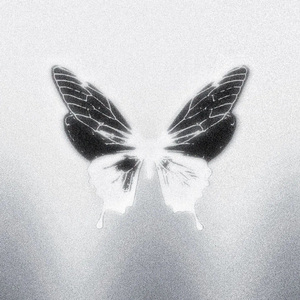 野心（部分弹唱版）