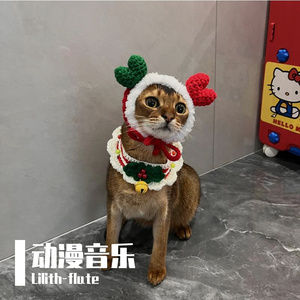 十二芭蕾公主（长笛乐队版）