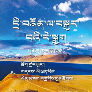 风说你在等我来  藏语版