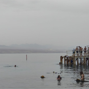 הלוך וחסור - Live