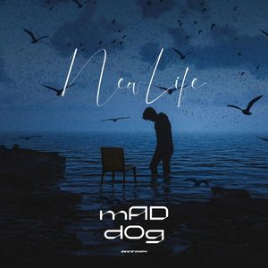 火柴盒豢养的微型极光