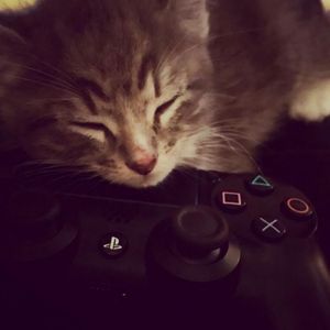 你说我个死鬼 伴奏