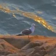 成功举行奥特曼变身仪式