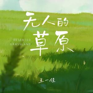 无人的草原 (DJ阿尼版)