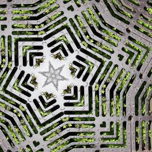 As our minds and bodies unwind