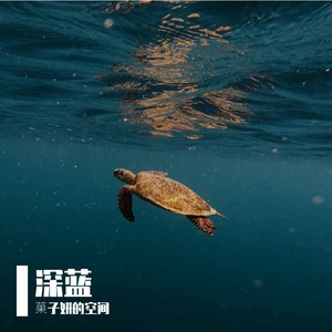 一场午后的宁静