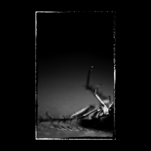 Caught And Held Fast By The Boundless World Of The Infinitely Small