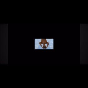 We Like Goats & Eagles