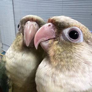 错（Prod.by Jeston）