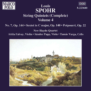 String Quintet No. 7 in G Minor, Op. 144:II. Larghetto