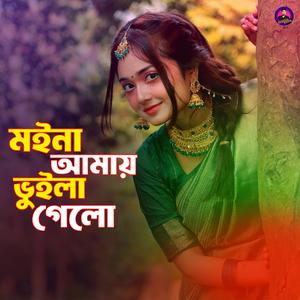 মইনা আমায় ভুইলা গেলো