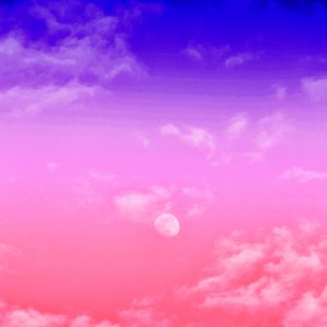 I Saw You in My Dreams