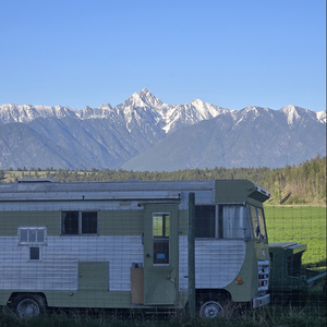 Phoenïx Faerïe (Jungle Mix)