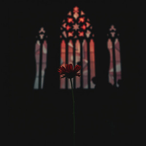 Thornflower (Special Version)