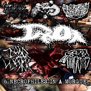 COVERED IN BILE (feat. GxPxFxCxCxBxIxBx)