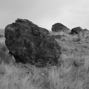 花儿（钢琴曲）