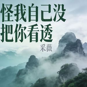 怪我自己没把你看透