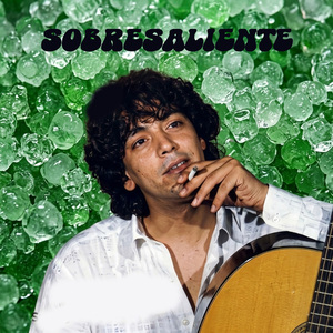 ME HECHIZASTE DULCEMENTE