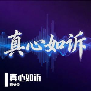 真心如诉