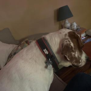 Falling down (lemickey)