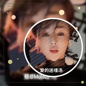 爱的迷魂汤（DJ 加快版）