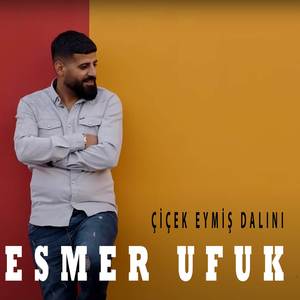 Çicek Eymiş Dalını