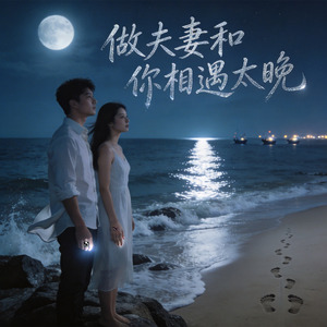 做夫妻和你相遇太晚