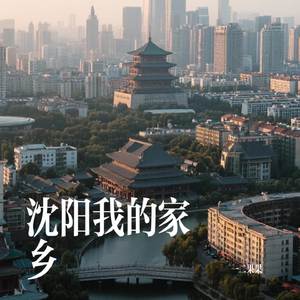 沈阳我的家乡