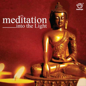 Journey Into The Light