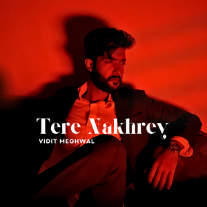 Tere Nakhrey