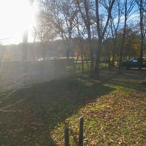 LIFE OUT HERE BY NAUNNOUMOUS