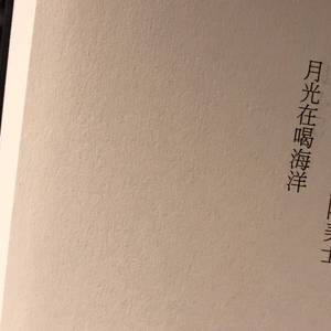 小半（Cover 陈粒）