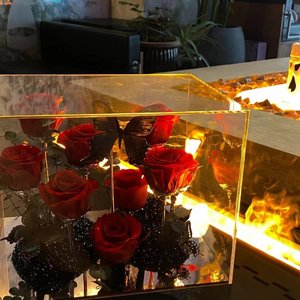 月半小夜曲_北极星小姐姐