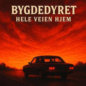 Hele veien hjem (Feat Roselya)