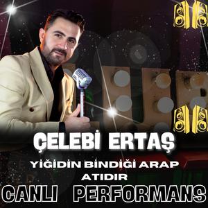 Yiğidin bindiği arap atıdır (Canlı Performans)