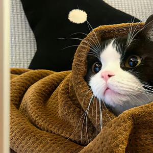 关于我在地铁上莫名其妙干了碗鸡汤这件事儿