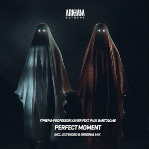 Perfect Moment (Extended Mix)