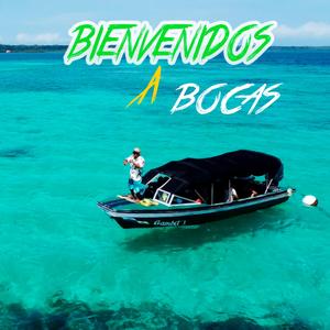 Liwy (Bienvenidos a bocas)