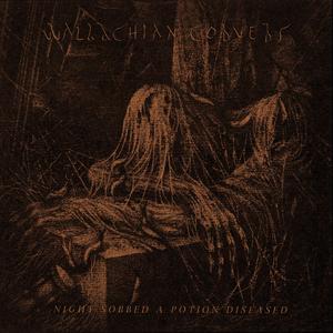 A Lonely Walk (feat. Old Tower)