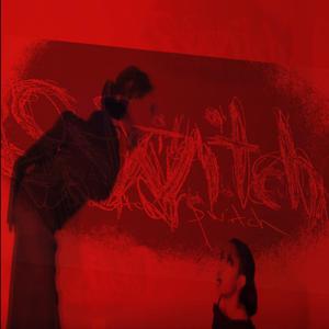 Switch