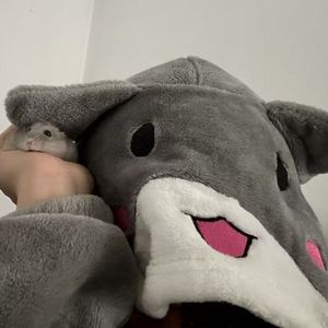 明明你也爱我吧 失眠了