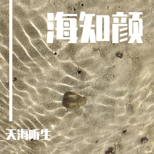 缤纷的海底世界