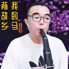 我的马背故乡 (remix: 萨仁)