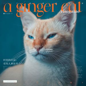 橘猫（Fell Luv）